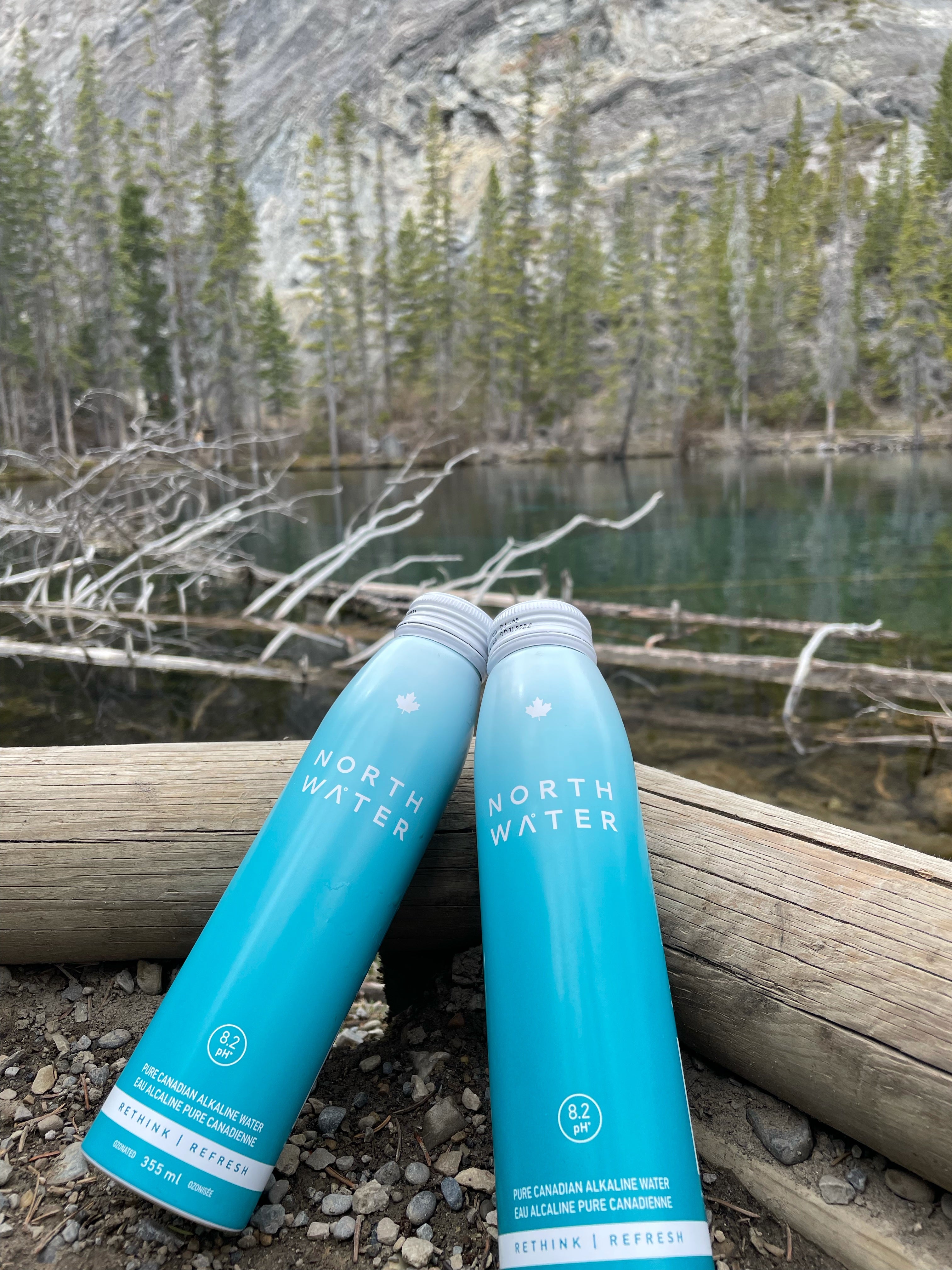 The Entrepreneurial Spirit